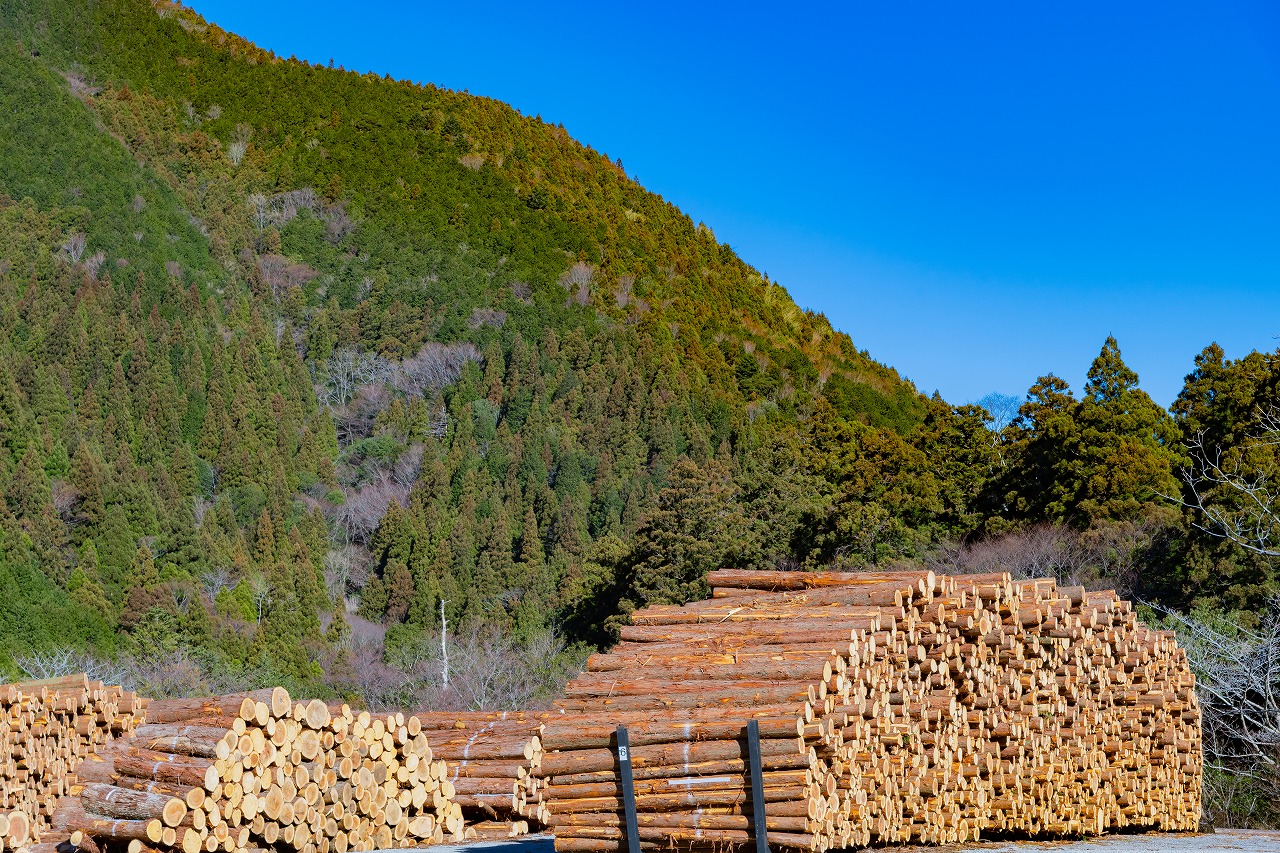 AdobeStock_247255012